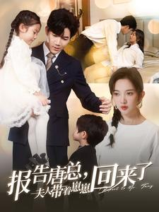 《报告唐总夫人带着崽崽回来了》（100集）全集短剧在线免费追