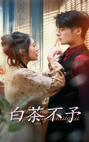 《白茶不予》（68集）爆款短剧在线一口气追完