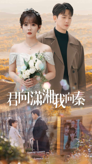 《君向潇湘我向秦》（30集）免费短剧全集立即看