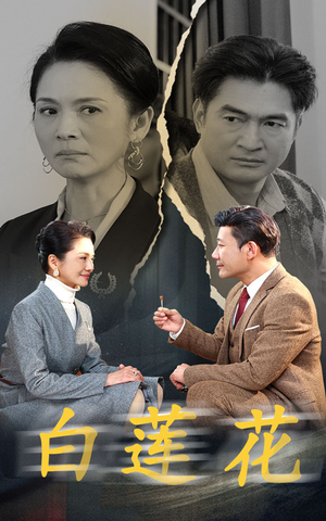 《白莲花》（40集）免费在线短剧全集追完
