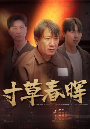 《寸草春晖》（31集）热门短剧全集免费畅看