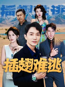 《插翅难逃》（43集）免费看短剧全集不停