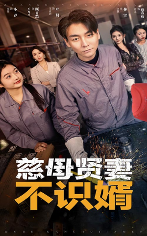 《慈母贤妻不识婿》（45集）免费短剧在线一追到底