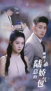 《缠她上瘾陆总的娇气包》（80集）在线短剧免费追全集