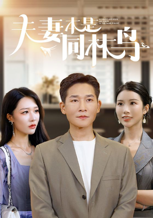 《夫妻本是同林鸟》（76集）看短剧全集不用等