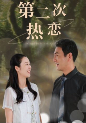 《第二次热恋》（48集）短剧免费在线全集追剧