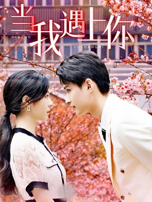 《当我遇上你》（100集）在线短剧免费追全集