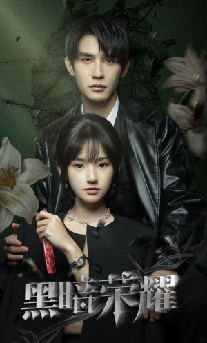 《黑暗荣耀》（66集）在线看短剧一气呵成