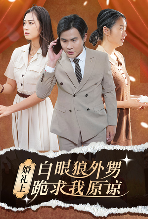 《婚礼上白眼狼外甥跪求我原谅》（35集）免费短剧在线追全集