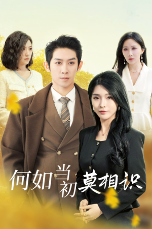 《何如当初莫相识》（36集）一口气追完短剧全集