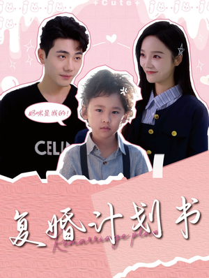 《复婚计划书》（96集）追短剧全集一看到底