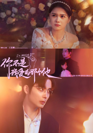 你不是我爱的那个他（54集）夸克网盘观看