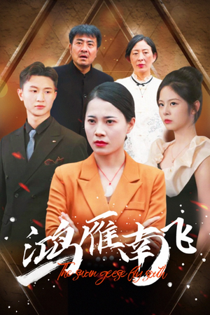 《鸿雁南飞》（64集）速来追短剧精彩全集