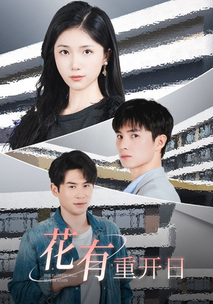 《花有重开日》（41集）超火短剧全集在线速看