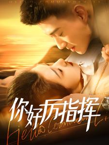 《你好厉指挥》（100集）在线免费短剧尽情看