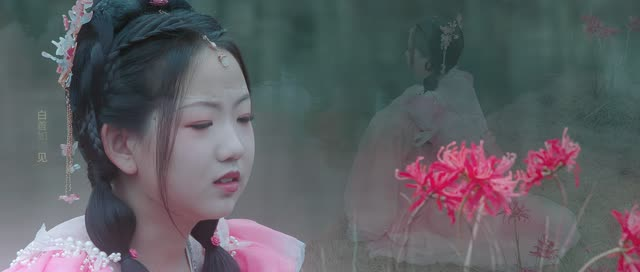 《南柯梦》（24集）全网短剧免费全集观看