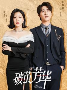 《破茧芳华》（80集）精彩短剧一追到底