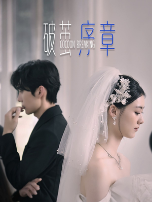 破茧序章(64集) 破茧序章(64集)精彩不断免费看