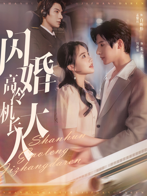 《闪婚高冷机长大人》（92集）免费畅看短剧全集版