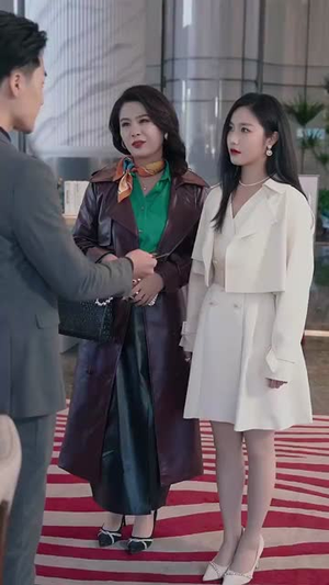 前夫别追,大小姐辞职了(31集) 前夫别追,大小姐辞职了(31集)古装短剧推荐