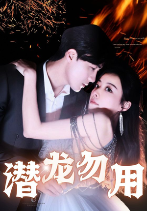 《潜龙勿用》（87集）热门短剧全集畅快观