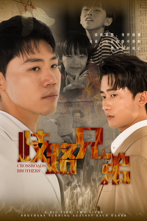 《歧路兄弟》（63集）畅享短剧全集免费看