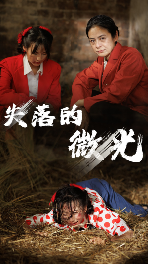 《失落的微光》（60集）免费短剧全集在线追