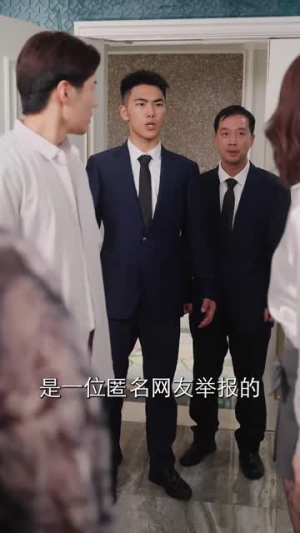 《妻子的秘密》（30集）畅享短剧全集在线观影