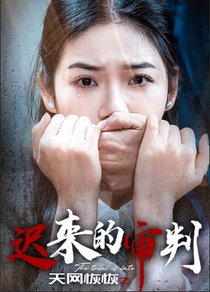 《天网恢恢之迟来的审判》（31集）畅享短剧全集免费看