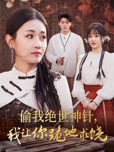 《偷我绝世神针，我让你跪地求饶》（30集）短剧热播速来追剧啦