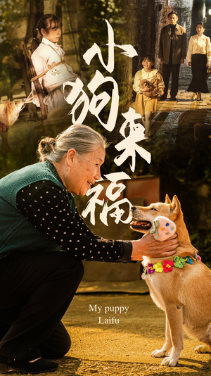 《小狗来福》（30集）短剧免费畅享全集观看