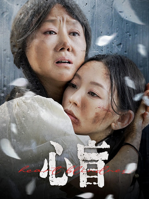 心盲（100集）在线免费观影