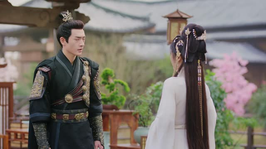 《小女不听将军令》（24集）看短剧全集解锁甜蜜剧情