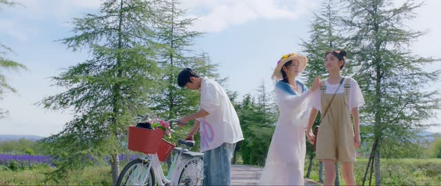 《向北的遗憾》（20集）短剧全集免费在线畅看