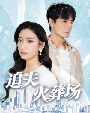 《追夫火葬场》（31集）短剧精彩剧情在线追享