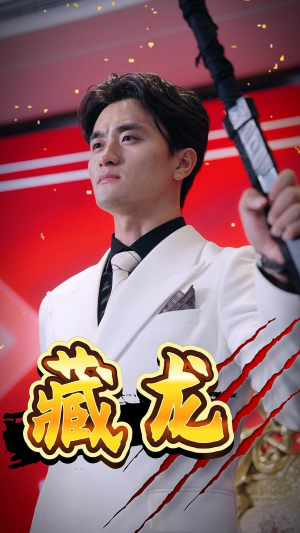 《藏龙》（30集）短剧全集畅享高清观看