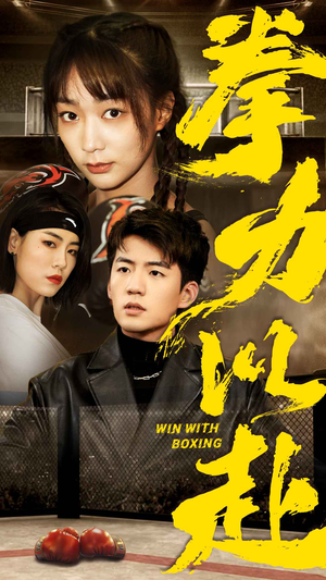 《拳力以赴》（80集）短剧精彩内容全集观看