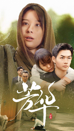 《芳华》（80集）超火短剧免费全集观赏