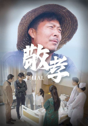 《敬孝》（61集）在线短剧免费全集看