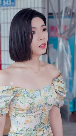 平安归来（36集）最火短剧热播