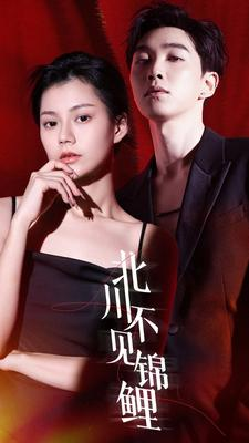 《北川不见锦鲤》（72集）短剧畅享全集不停歇