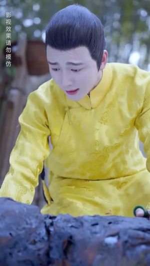 《与雪白头》（84集）全集短剧在线免费追看