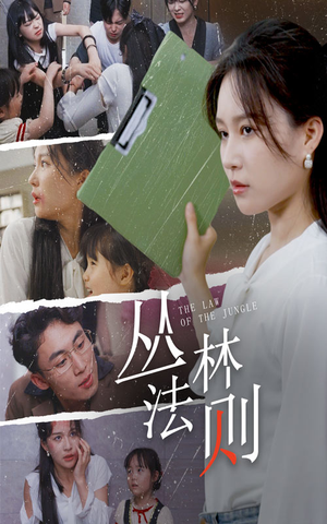 《丛林法则》（29集）在线短剧追剧乐趣多