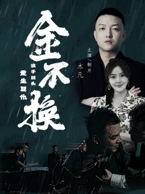 《金不换》（32集）短剧精彩免费畅享观看