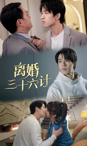 《离婚三十六计》（96集）热门短剧在线免费畅看