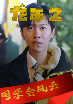 龙年之同学会风云(94集) 龙年之同学会风云(94集)全剧免费观看