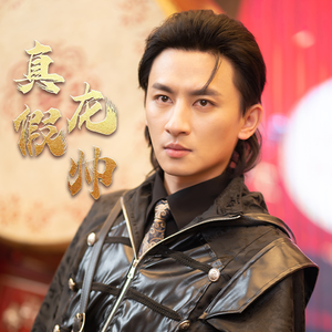 《真假龙帅》（81集）短剧在线看超带劲