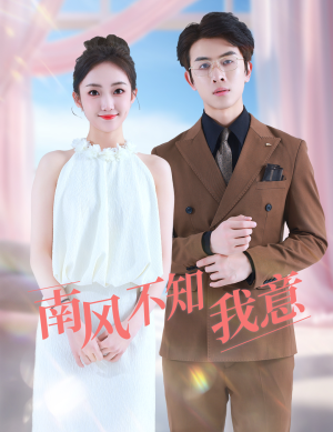 《南风不知我意》（81集）在线畅看短剧全集