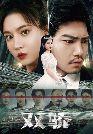 《双骄》（66集）爆款短剧免费畅看不停