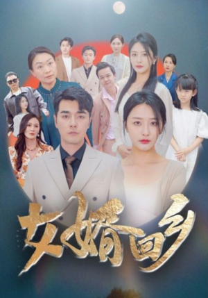 《女婿回乡》（120集）短剧精彩在线追到底